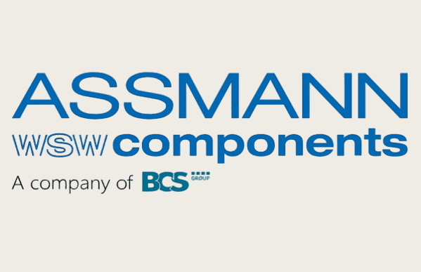 ASSMANN WSW-31