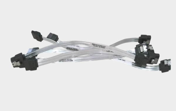 3-Photoroom 3-Photoroom