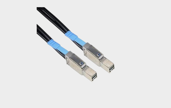 CS-SASMINIHD2-001 CS-SASMINIHD2-001